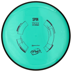 Neutron Spin