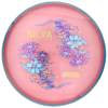 Silva Saarinen Proxy pinkki-sininen 168